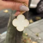 پلاک مدل ونکلیف - تصویر 2