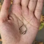 گردنبند لیزری مدل بال - تصویر 3
