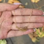 گردنبند لیزری مدل بال - تصویر 4