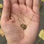 گردنبند لیزری مدل تو - تصویر 3