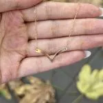 گردنبند لیزری مدل V - تصویر 4