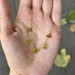 گردنبند لیزری مدل پروانه - تصویر 3