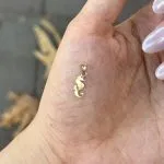 پلاک لیزری مدل اسب دریایی - تصویر 3